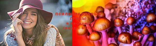 молекула духа Алзамай