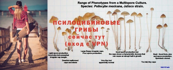 молекула духа Алзамай