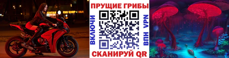 OMG сайт  как найти   Данков  Галлюциногенные грибы MAGIC MUSHROOMS 